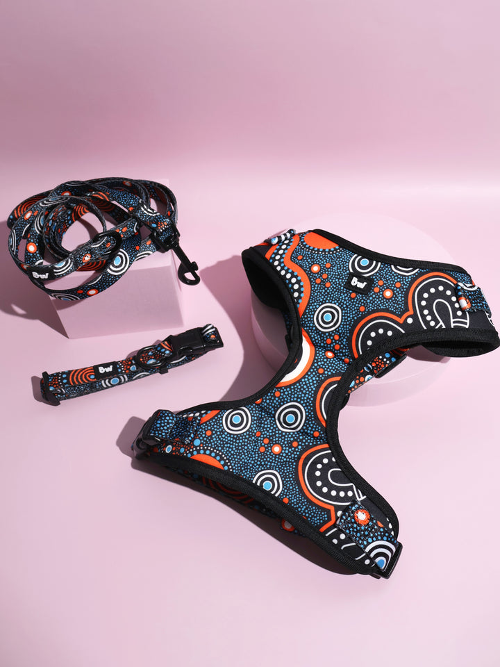 Family Place - Collar, Leash, and Harness Bundle