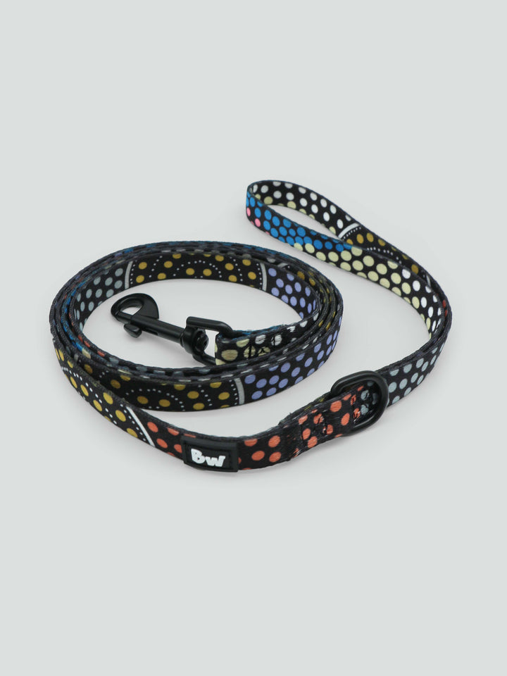 Family Journey - Dog Leash