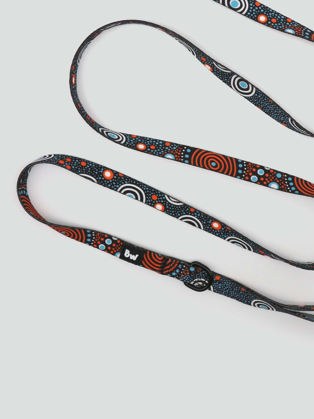 Family Place - Dog Leash