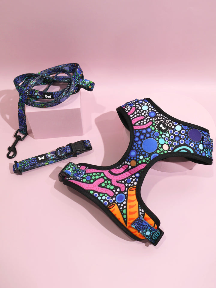 Gadu Bilima (Sea Turtle) - Collar, Leash, and Harness Bundle