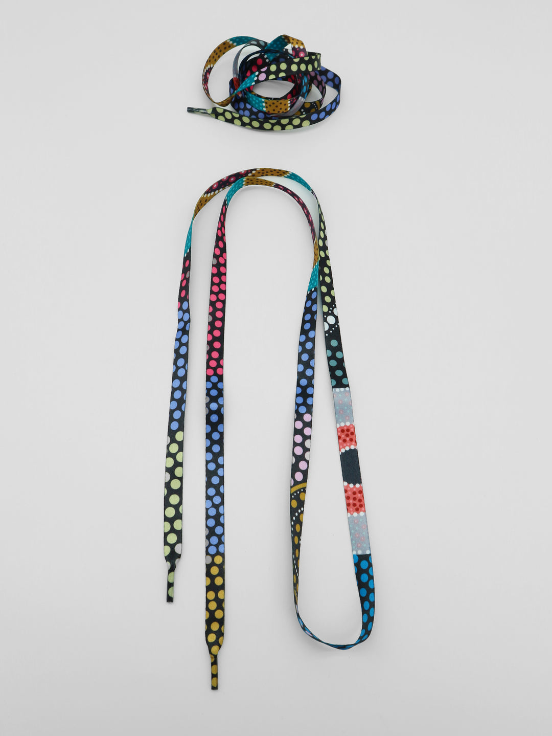 Family Journey - Shoelaces