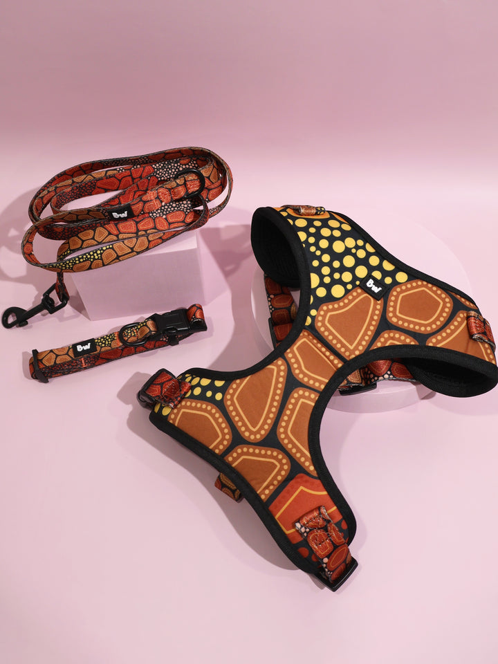 She Sings To Me From The Dreaming - Collar, Leash, and Harness Bundle