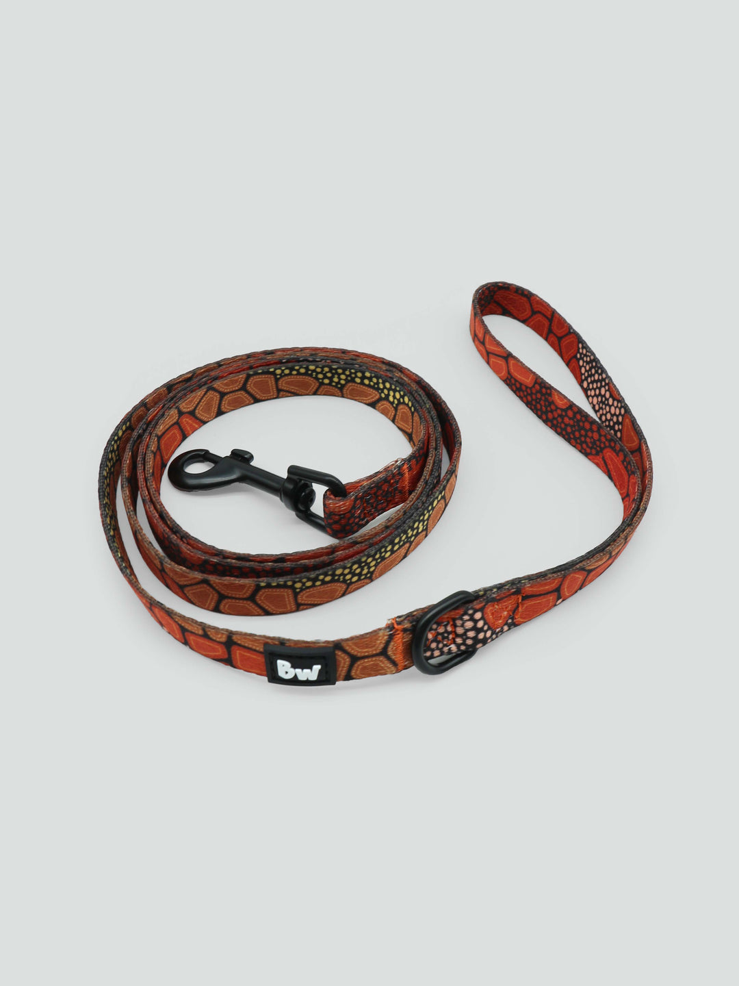 She Sings To Me From The Dreaming - Collar, Leash, and Harness Bundle