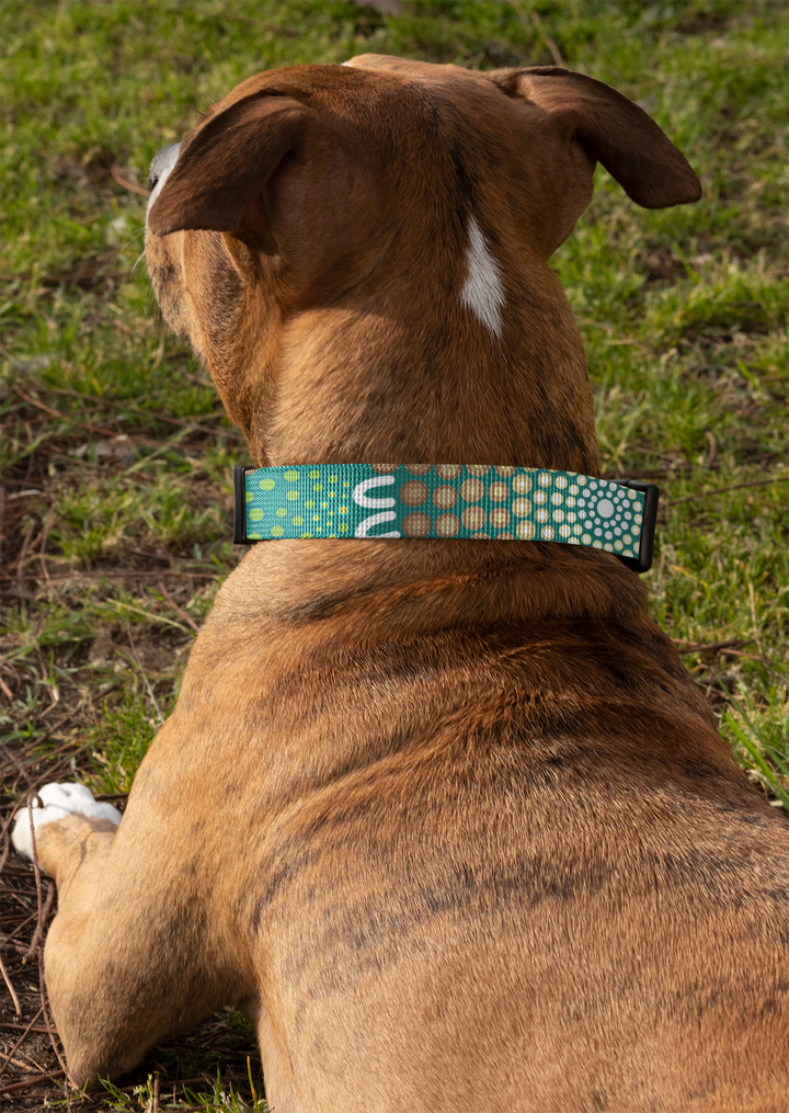 Ripple Effect - Collar, Leash, and Harness Bundle