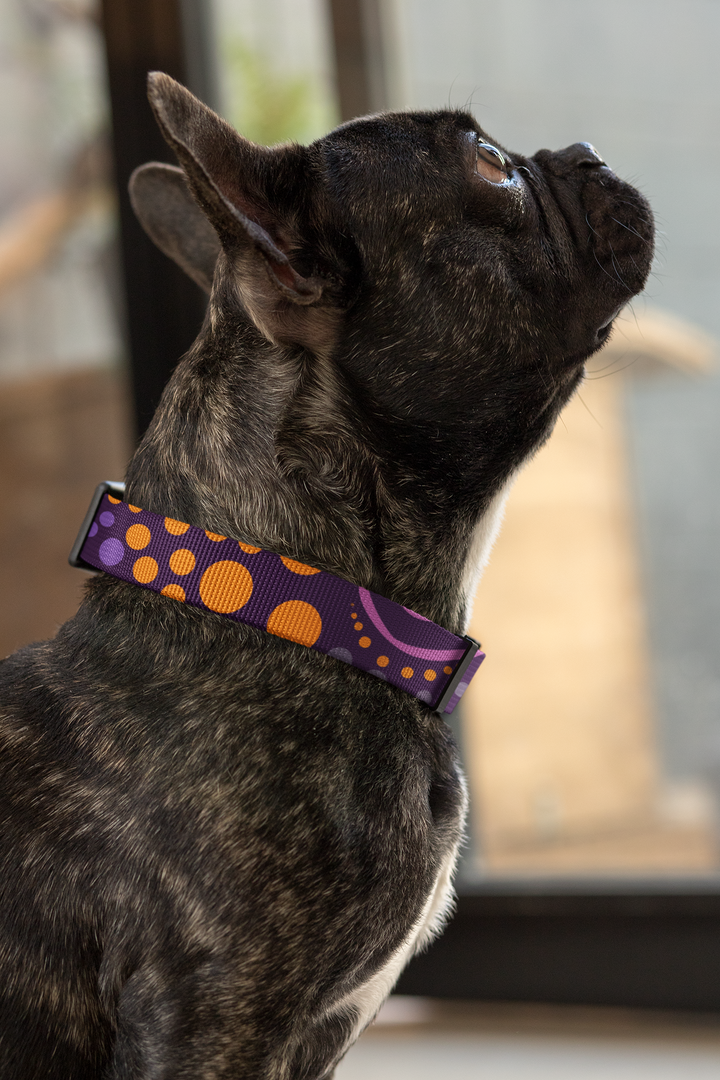 Purple Desert Flower -Collar, Leash, and Harness Bundle