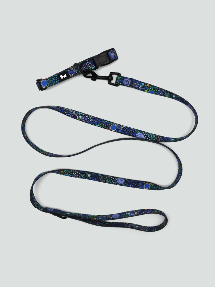 Gadu Bilima (Sea Turtle) - Collar, Leash, and Harness Bundle