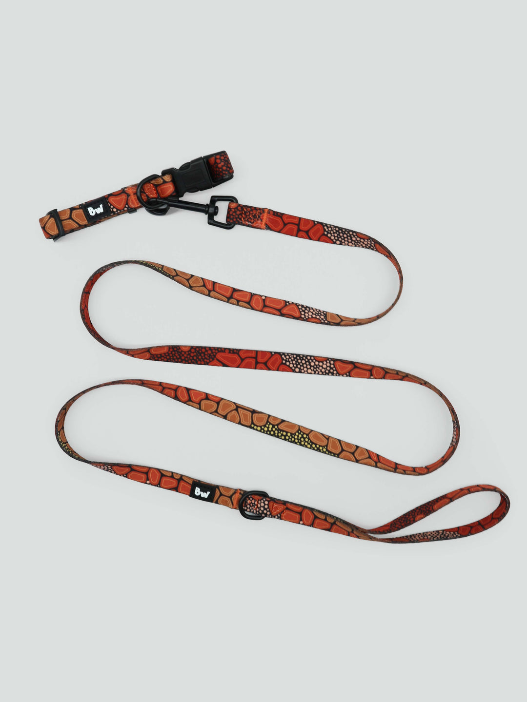 She Sings To Me From The Dreaming - Collar, Leash, and Harness Bundle