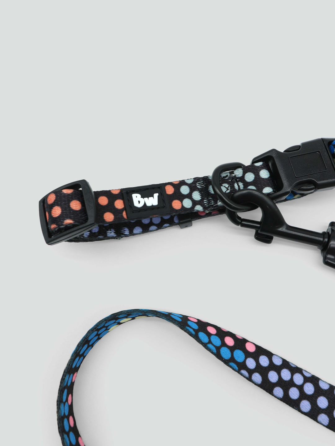 Family Journey - Collar, Leash, and Harness Bundle