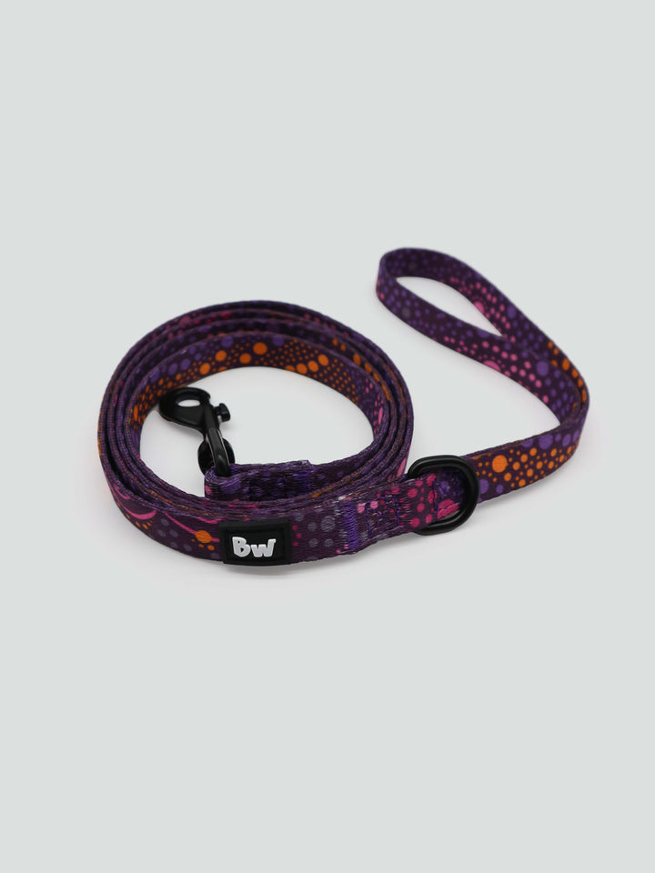Purple Desert Flower -Collar, Leash, and Harness Bundle