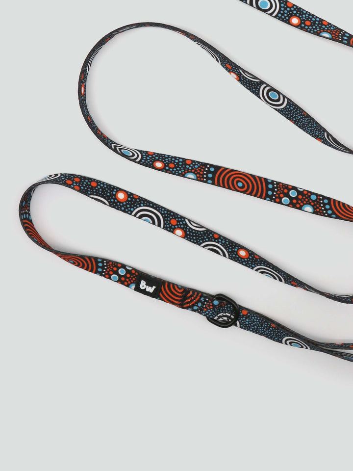 Family Place - Collar, Leash, and Harness Bundle