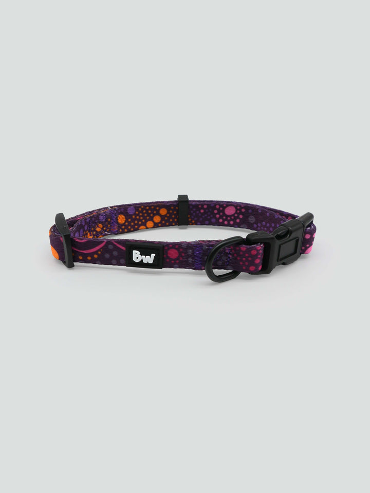 Purple Desert Flower -Collar, Leash, and Harness Bundle