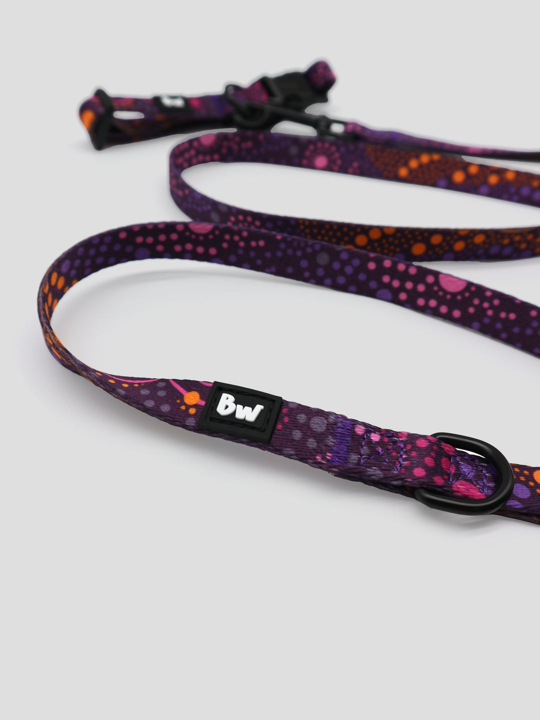 Purple Desert Flower -Collar, Leash, and Harness Bundle
