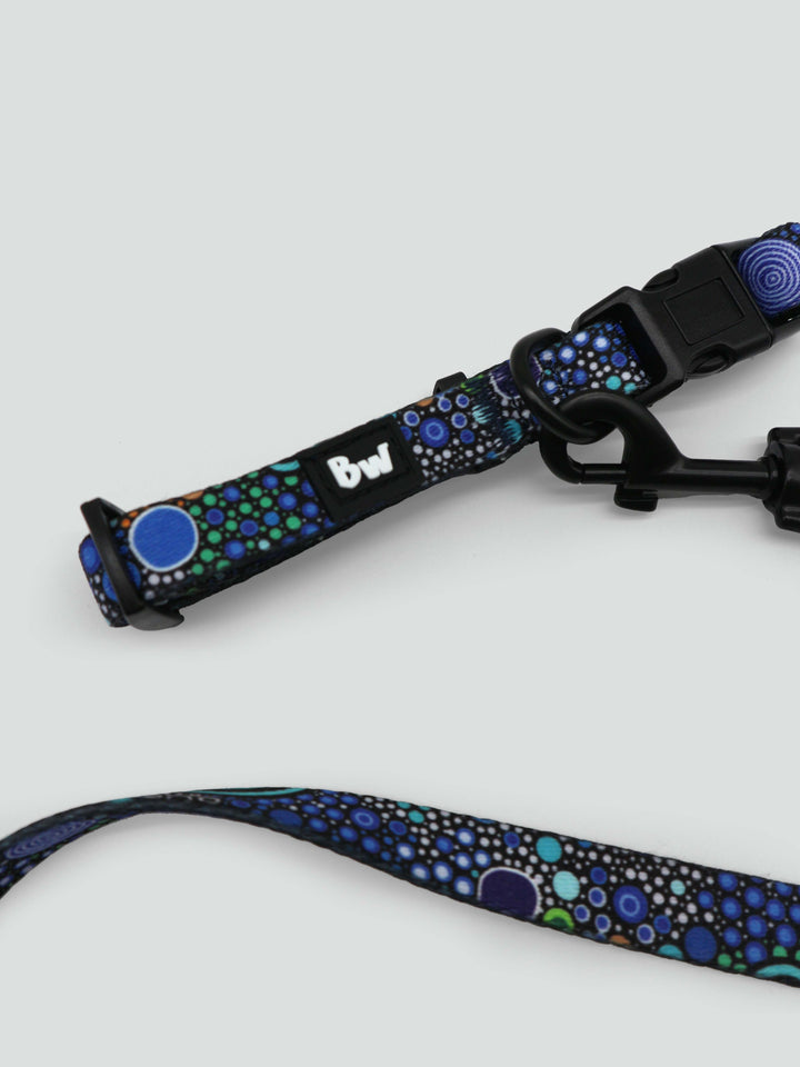 Gadu Bilima (Sea Turtle) - Collar, Leash, and Harness Bundle