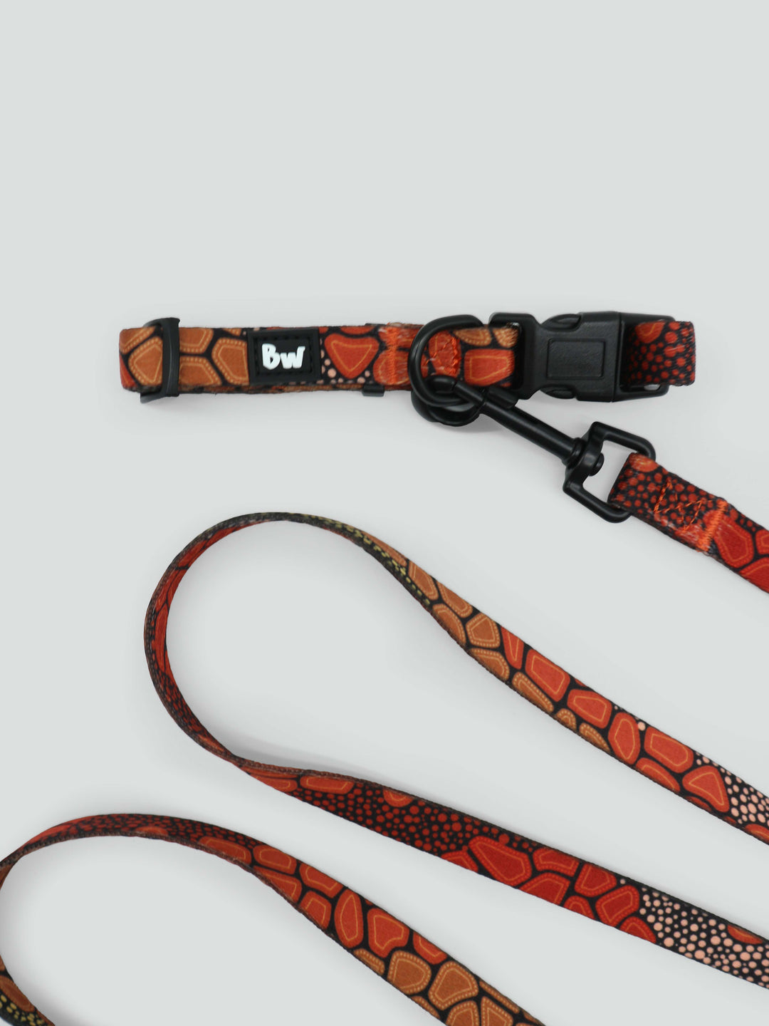 She Sings To Me From The Dreaming - Collar, Leash, and Harness Bundle