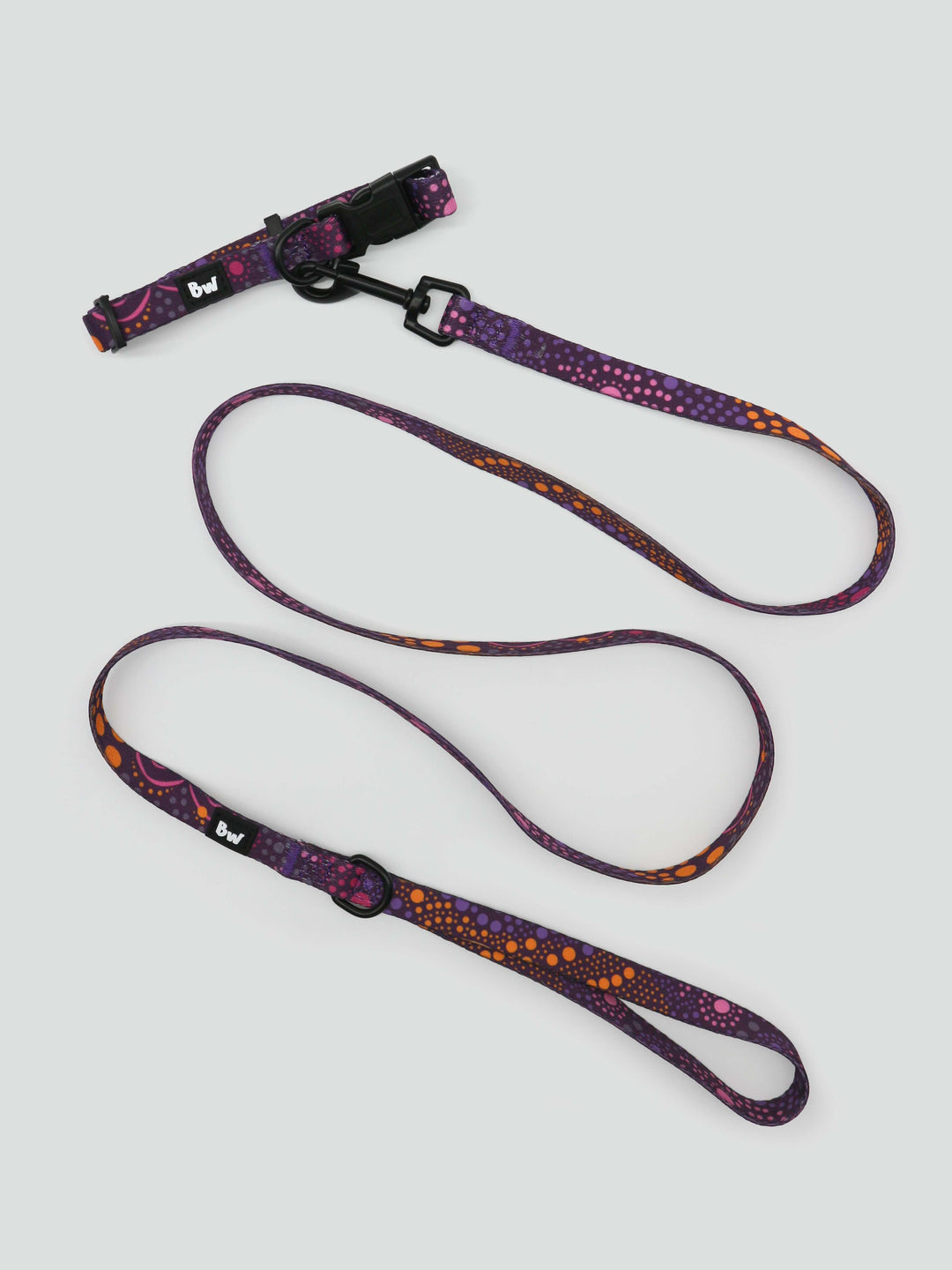 Purple Desert Flower -Collar, Leash, and Harness Bundle