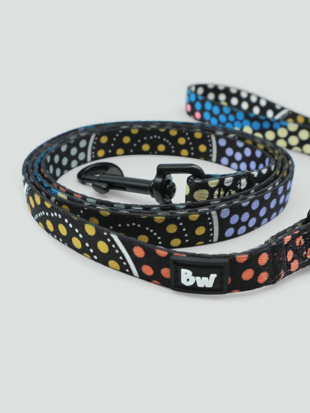 Family Journey - Collar, Leash, and Harness Bundle