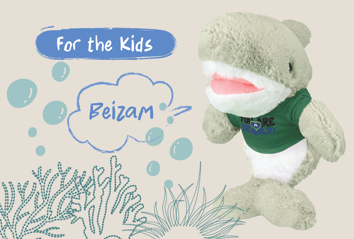 For The Kids: Learn About Sea Country with Bizzy the Beizam (Shark ...