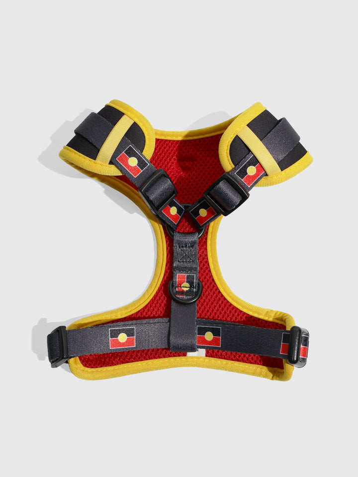 Aboriginal Flag - Dog Harness