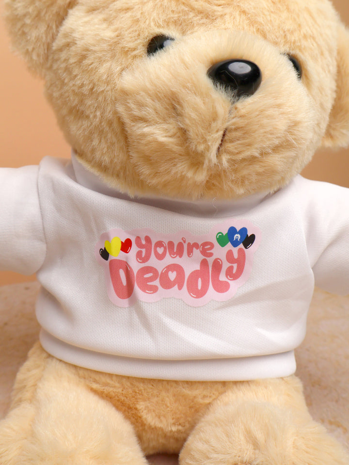 Teddy Bear - Plush Toy