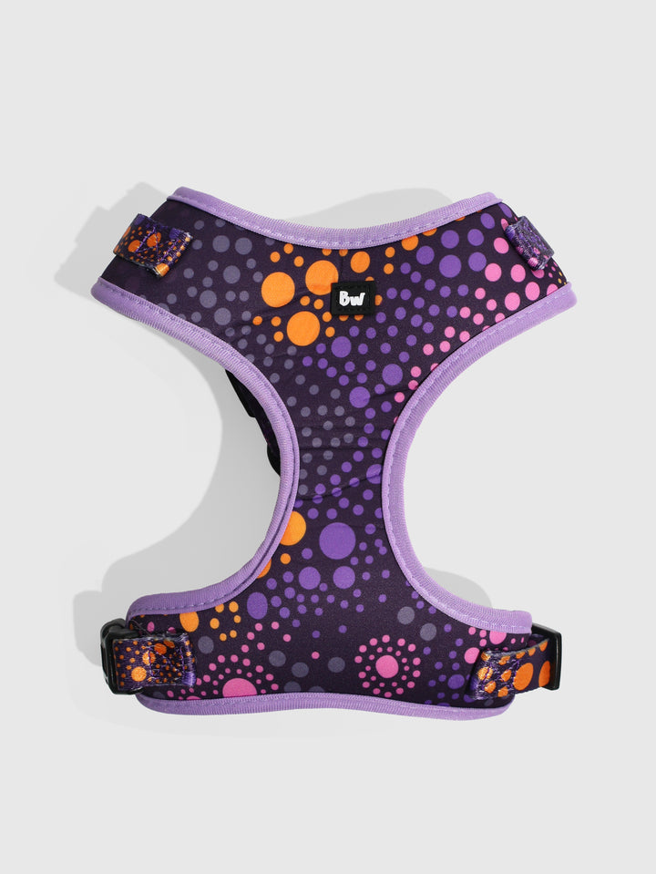 Purple Desert Flower - Dog Harness