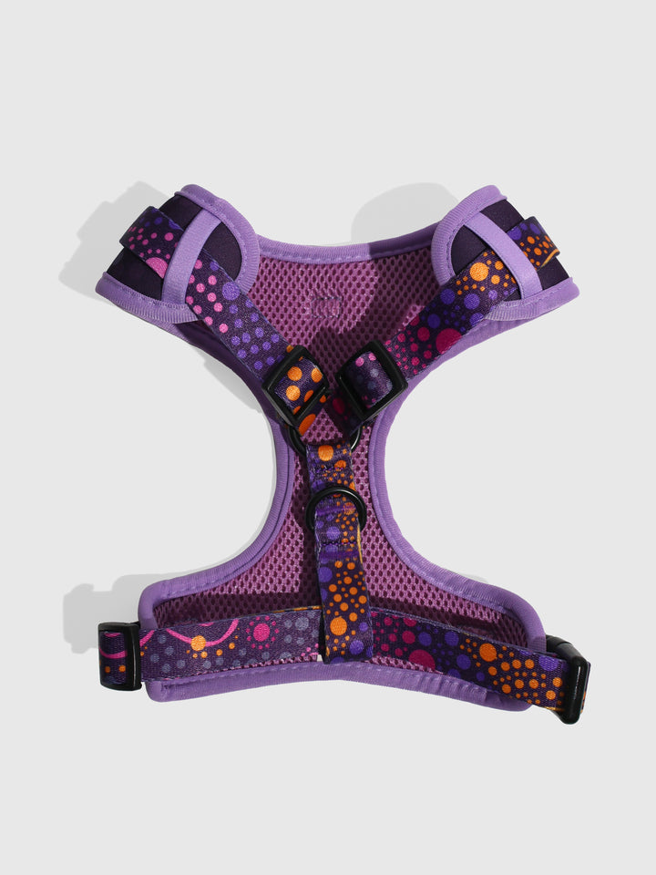 Purple Desert Flower - Dog Harness