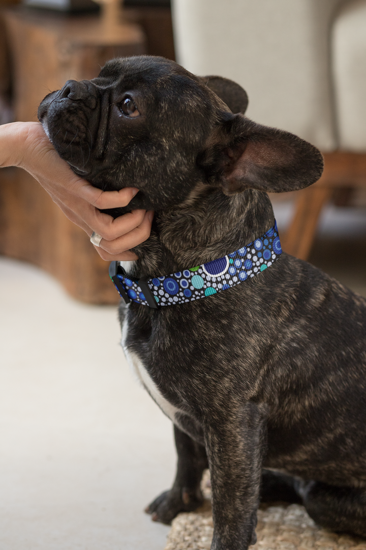 Gadu Bilima (Sea Turtle) - Dog Collar