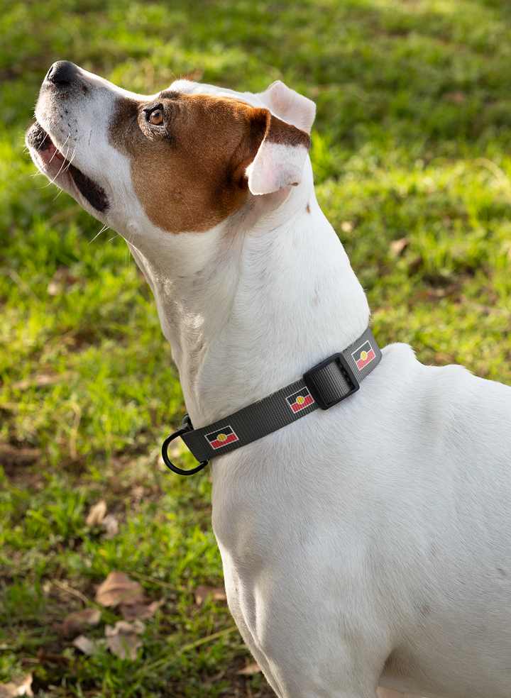 Aboriginal Flag - Dog Collar