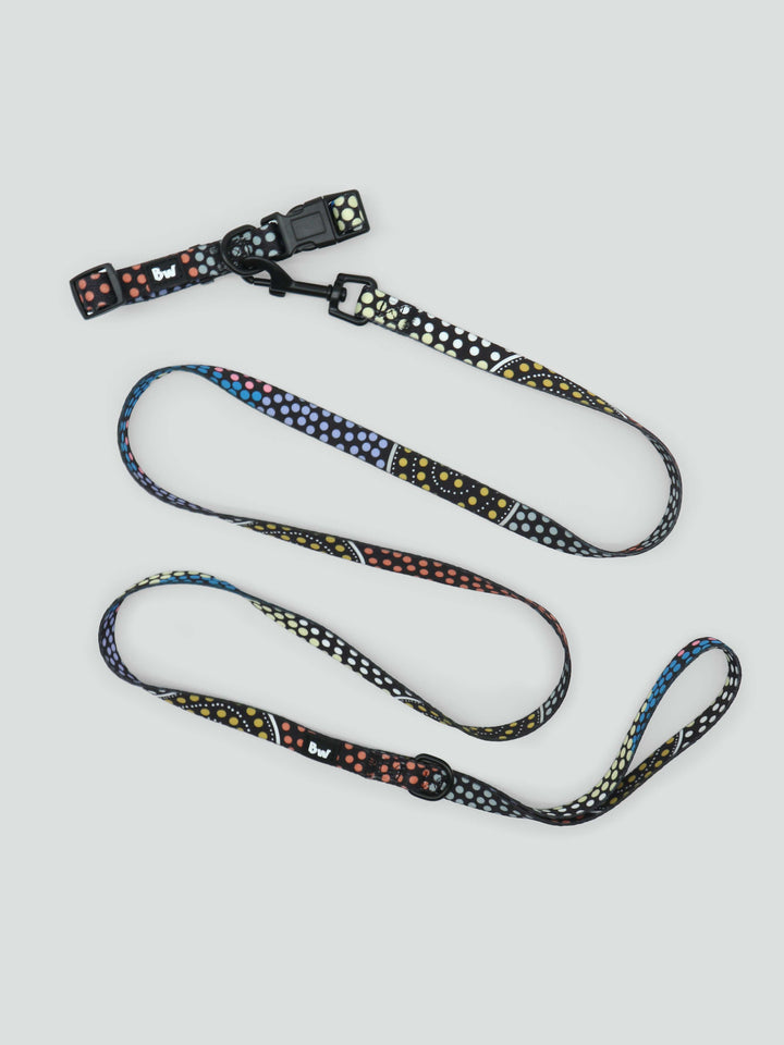 Family Journey - Dog Collar and Leash Set