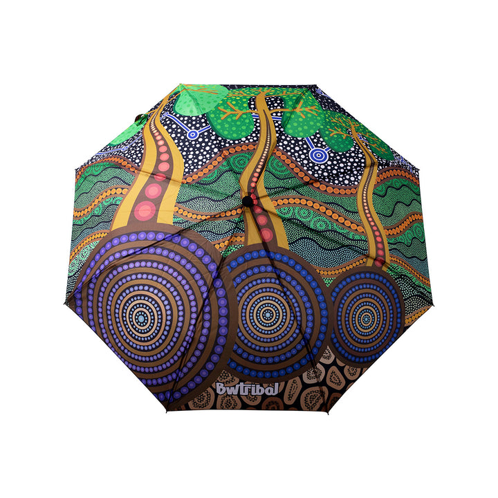 Umbrella - Past, Present and Future (NAIDOC 2023)